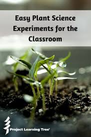 easy plant science experiments for the classroom project