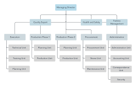 An organizational structure allows companies to shape their business model according to several criteria (like products, segments, geography, and so on) that would enable information to flow through. Template Factory Organizational Chart Lucidchart