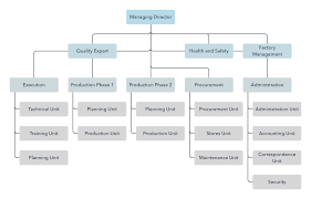 An organizational chart is a pictorial representation of a company's structure and reporting relationships. Template Factory Organizational Chart Lucidchart