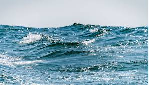 Image result for sea