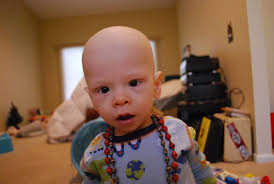 Ms. Florida International