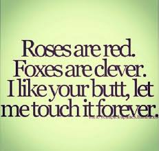 Fun Times Funny Quotes Hilarious Funny