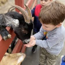 Home to a vast array of cute and exciting creatures — over 600 to be exact — prepare to be amazed as you move through themed exhibits, each focusing on a. Rainforest Adventures 149 Photos 67 Reviews Zoos 109 Nascar Dr Sevierville Tn Phone Number