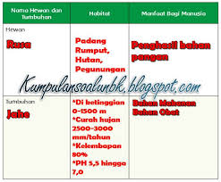 Kunci Jawaban Tema 2 Kelas 6 Subtema 3 Pembelajaran 1 Halaman 105