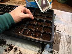 Moving here i was excited to see this local nursery on the glenmont/delmar border and had very high expectations. Hewitt S Garden Centers Hewittsgarden Profile Pinterest