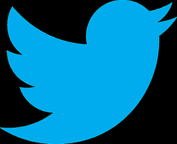 Image result for twitter logo black