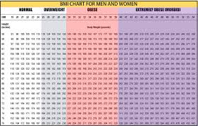Bmi Chart 1 Ezfit24
