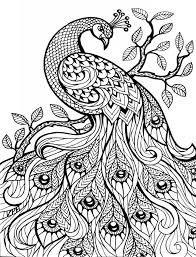 A few boxes of crayons and a variety of coloring and activity pages can help keep kids from getting restless while thanksgiving dinner is cooking. Hard Peacock Coloring Page Free Printable Coloring Pages For Kids