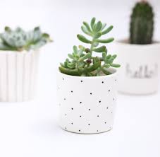 Black And White Flower Pots Succulent Planter Small Plant Pot Black And White Polka Dot Minimalist Scandinavian Desi Vasos De Flores Vasos De Flores Pequenos Abertura Na Porta