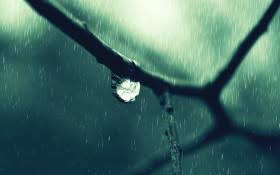 Rainy mood 是一个提供在线下雨声，并配有一幅正在下雨的背景。 白噪音听起来并不那么刺耳，但是它可以使人忽略噪杂的环境。 同时，rainymood 每天还会提供一首适合背景音乐的歌曲，让人在这种下雨声中也能感受到音乐的节奏。 p.s. ä¸‹é›¨å£çº¸ ä¸‹é›¨å£çº¸å›¾ç‰‡å¤§å…¨ 9å¼  å¤©å ‚å›¾ç‰‡ç½'
