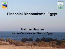 Financial Mechanisms, Egypt