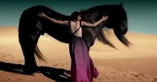 Respect The Planet Have A Good Living Music Oliver Shanti Sacral Nirvana Horses Gipsy Kings Relaxing Music