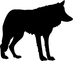 They were large wolves that were likely pack hunters during the pleistocene era in north america. Wolf Silohette Wolf Silhouette Animal Silhouette Silhouette Art