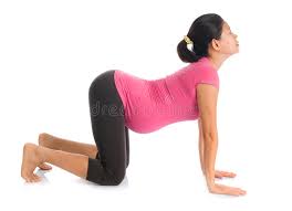 Stay in this position if this is enough of a stretch for the backs of your legs or walk your hands out in front of you. Pregnant Yoga Butterfly Position Stock Photo Image Of People Female 32465698