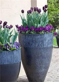 How To Plant Tulips In Large Cement Garden Pots Vietnam Lightweight Concrete Pots