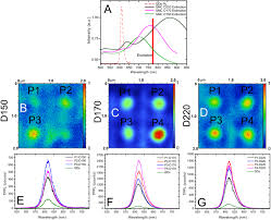 Hai convertito 2700 eur in ltc: Enhanced Two Photon Photoluminescence Assisted By Multi Resonant Characteristics Of A Gold Nanocylinder