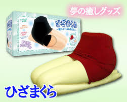 Image result for lap pillow
