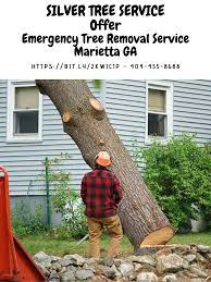 Affordable Tree Removal Services Marietta Ga Tree Removal Tree Removal Service Tree Service
