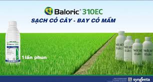 Baloric 310EC