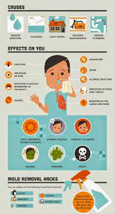 Pin On How To Get Rid Of Black Mold