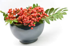 Vogelbeermarmelade Marmelade Neue Rezepte Rezepte