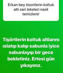 Delikizinturkusu Adli Kullanicinin Faydali Bilgi Panosundaki Pin