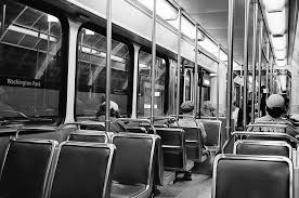 Image result for Grey 1986 Fleet