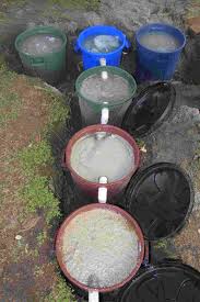 Can My Diy Grey Water Bio Filter System Be Improved Gardening Landscaping Stack Exchange Grey Water System Diy Grey Water System Grey Water Recycling