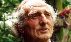 Dyson Wilson obituary