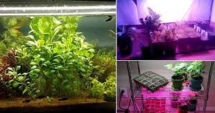 Installation requirements vary drastically depending on the scope of your indoor garden and the type of bulb used. 29 Diy Led Grow Light Panels You Can Make At Home Balcony Garden Web