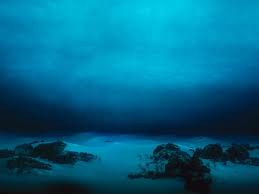 Why We Must Explore The Sea Science Smithsonian Magazine The average ocean depth is nearly two and a half miles, and oceans cover 70 percent of the planet. why we must explore the sea science