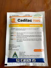 Cadilac 75WG