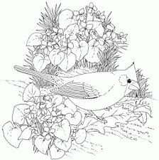 Pin By Katherine Hunter On Antimal Bird Coloring Pages Spring Coloring Pages Flower Coloring Pages