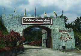 Saya selidiki tiap sudut tubuhnya yang masih terbalut baju training dan kemudian. Dunia Anakku Cuti Ringkas Ke Ipoh Daytrip Ke Gaharu Tea Valley Gopeng