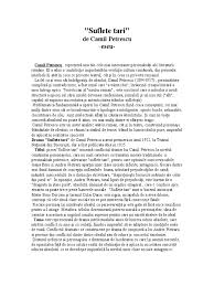 Povestea lor de dragoste este mai degraba un razboi si la final amandoi pierd pentru ca nici unul nu a putut sa vada cine era celalalt. Suflete Tari Camil Petrescu