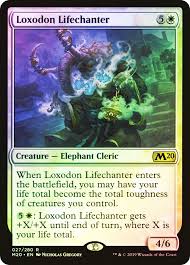 Image result for Loxodera