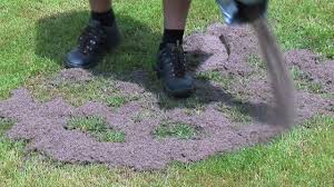 34+ neu bilder hilton garden inn stuttgart neckarp. Rasen Begradigen So Erhalte Ich Eine Ebene Flache