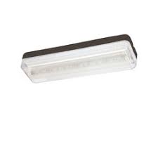 Specific luminaires for emergency lighting. Emergency Lights Ceiling Mounted Emergency Lights High Quality Designer Emergency Lights