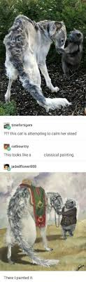 Cat And Dog Are A Renaissance Painting Cat Renaissance Painting Art Meme Cute Funny Animals Funny Animals Animal Memes