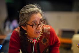 Developing Roadmap KunmingMontreal GGF Target 2Target 2 Technical Meeting