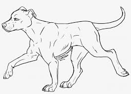 This dog coloring pages are fun way to teach your kids about dog. Pitbull Coloring Pages Ted Coloring Pages 254681 Pitbull Great Dane Coloring Page Transparent Png 940x629 Free Download On Nicepng