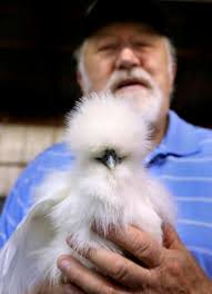 Poultry Pride At Frederick County Fair