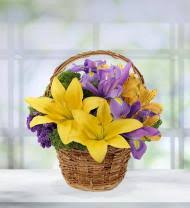 Maybe you would like to learn more about one of these? Connecticut Florists Flowers Avas Flowers