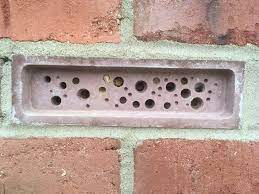 Maybe you would like to learn more about one of these? Adam Cormack On Twitter 6 Months Ago A Bee Brick Was Fitted To The Side Of Our House Today I Went Up A Ladder To Check On It And Yes