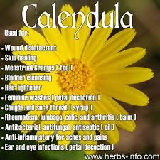 Natural Remedies Tend To Be Readily Available For A Good Number Of Our Afflictions And They Don T Have The Negative Si Herbal Medicine Herbalism Herbal Healing
