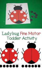 Pin On Theme Insects And Spiders