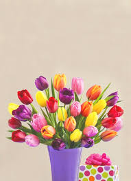 Check spelling or type a new query. Flowers Chelmsford Cm1 Send Fresh Flowers