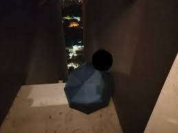 Sungai buloh is located in the petaling district and is usually associated with the biggest leprosy settlement centre in the 1930s. Firefighters Save Woman From Jumping Off Sungai Buloh Condo Building