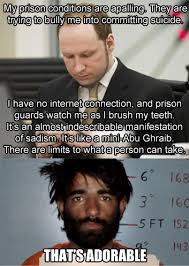 Profitez de millions d'applications android récentes, de jeux, de titres musicaux, de films, de séries, de livres, de magazines, et plus encore. Breivik Dilawar That S Adorable That S Cute Know Your Meme