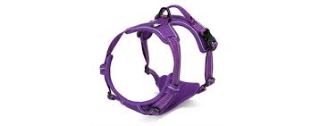 The Best Dog Harnesses Review In 2019 Petside